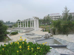 Bamboo cultivation in peach garden -- waterfront landscape